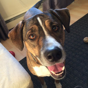 Meet your Posher, Jay